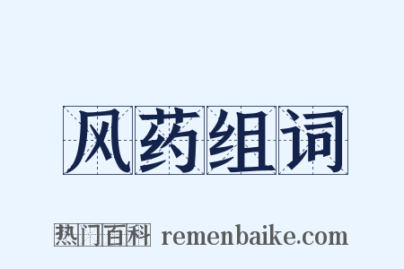 风药组词是什么意思的图片